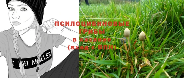 мяу мяу мука Арсеньев