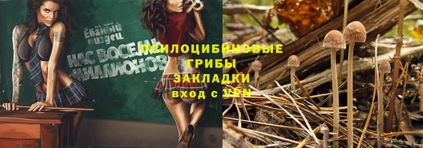 мяу мяу мука Арсеньев