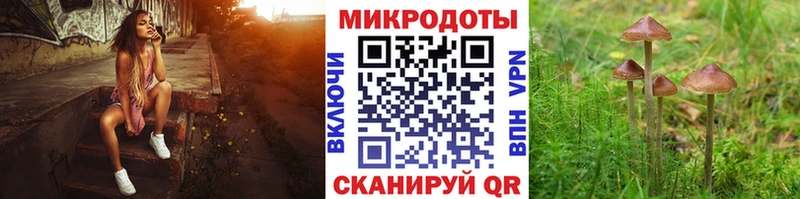 Купить где  Зеленокумск  Галлюциногенные грибы мицелий 